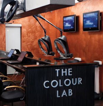 Salon of Distinction: The Salon by Lora Brown