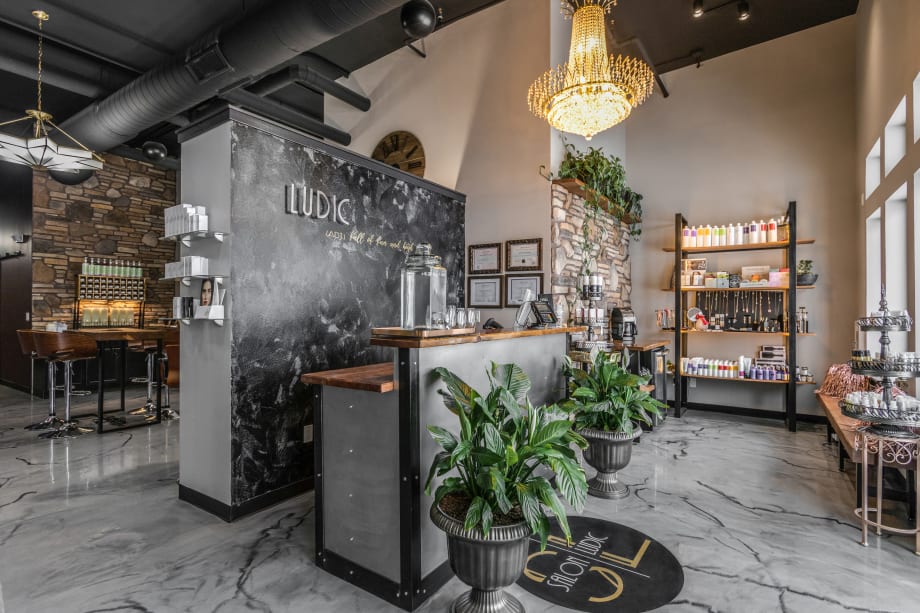 2019 Salons of the Year: Salon Ludic