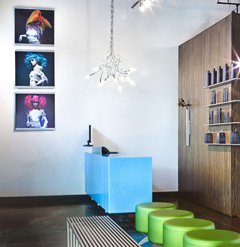 2011 NAHA Finalists - Salon Design