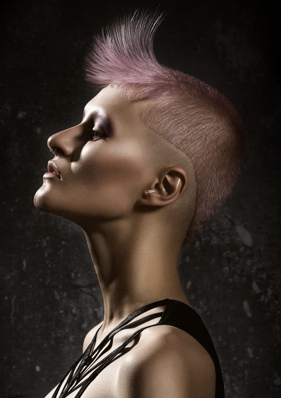 2016 NAHA FINALISTS: Master Stylist