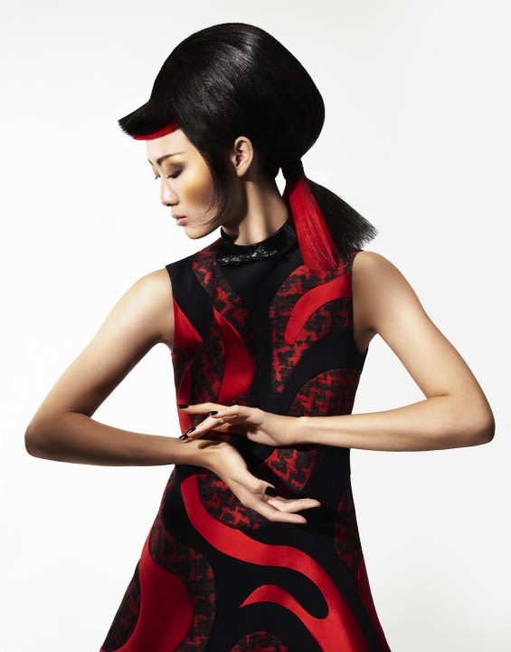 2015 NAHA FINALISTS: Master Hairstylist of the Year