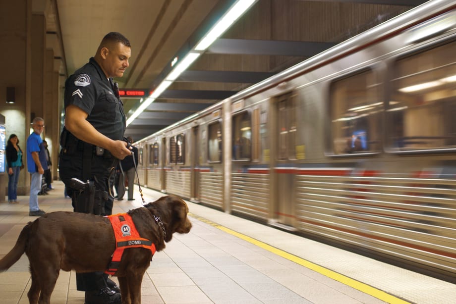 U.S. Rail Ready For Security Challenges