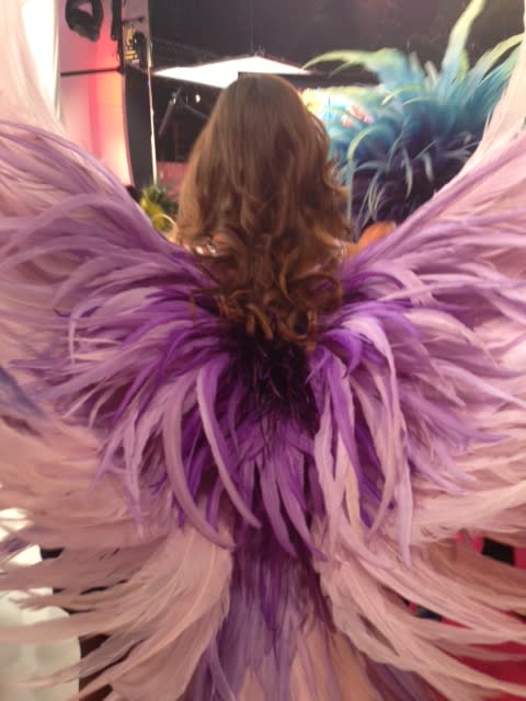 Behind the Scenes: Victoria's Secret Fashion Show, Matthew Morris
