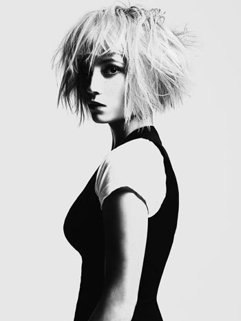 NAHA 2010 "Master Hairstylist" Finalists