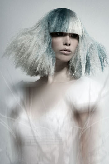 NAHA 2010 "Master Hairstylist" Finalists