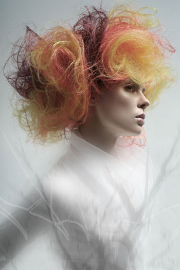 NAHA 2010 "Master Hairstylist" Finalists