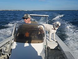 An Interview with Brad Davis