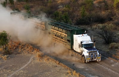 Mack Reorganizes International Staff to Support Growth