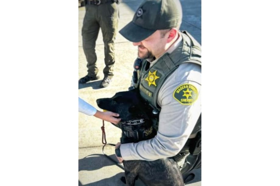 California K-9 and Suspect Wounded in Shootout