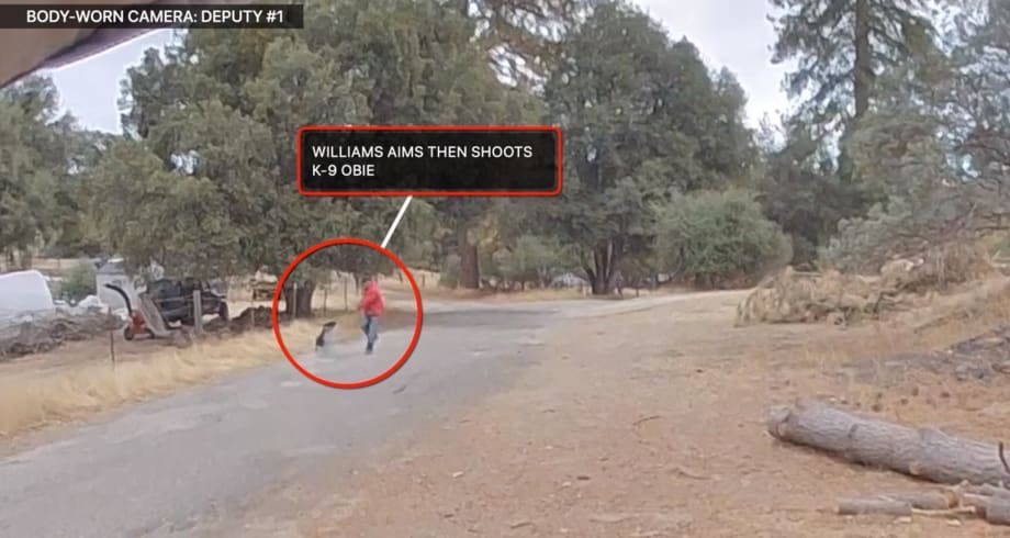 California Man Shot by Deputies After He Blasted K-9 with Shotgun