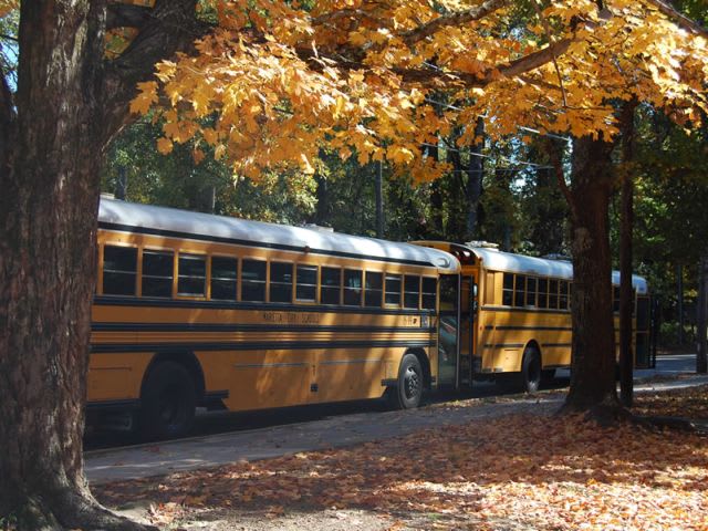 Georgia district sees 42% drop in stop-arm violations