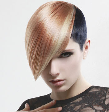 2011 NAHA Finalists - Haircolor