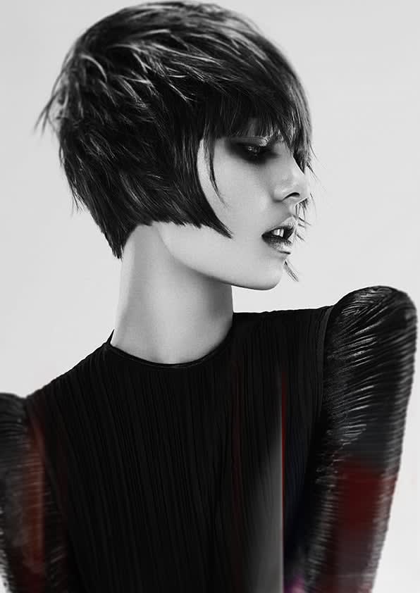 2017 NAHA FINALISTS: Master Stylist