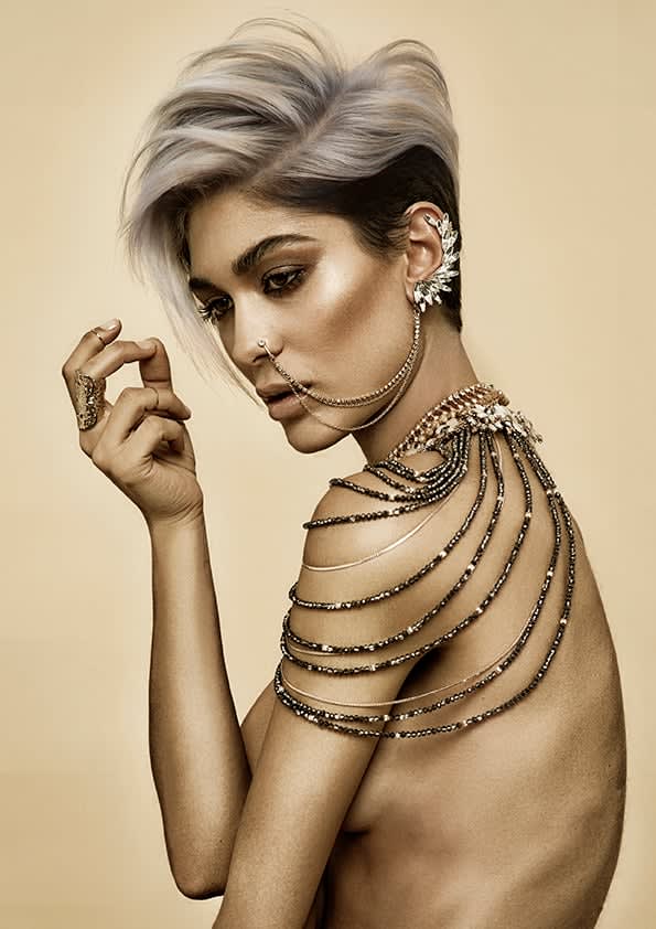 2017 NAHA FINALISTS: Master Stylist