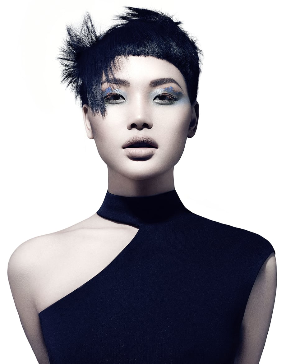 2017 NAHA FINALISTS: Master Stylist