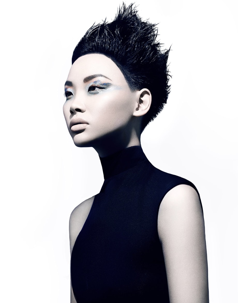 2017 NAHA FINALISTS: Master Stylist