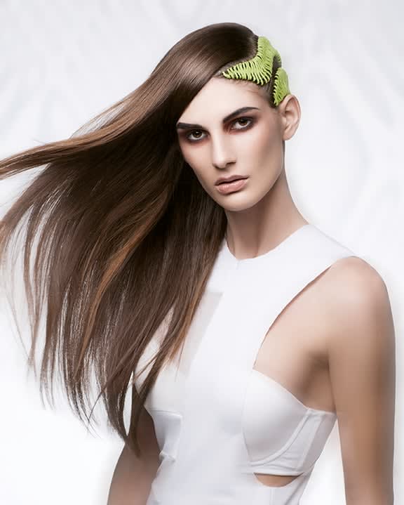 2017 NAHA FINALISTS: Master Stylist