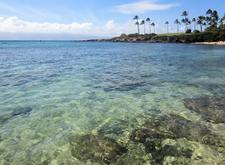 Hawaii Vacation Sale Includes Free Car Rental Offer