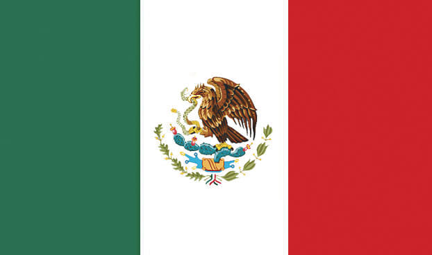 Overview: Mexican Fleet Market