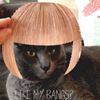 MODERN and Hairdo Want to See How YOU Look with a Fringe
