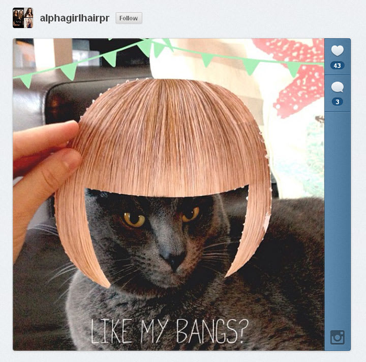 MODERN and Hairdo Want to See How YOU Look with a Fringe