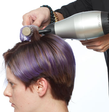 Lavender Locks