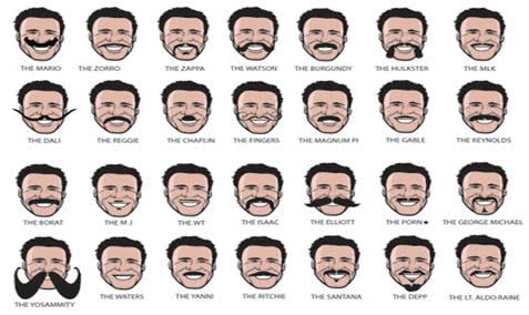 MOVEMBER, What You Need To Know