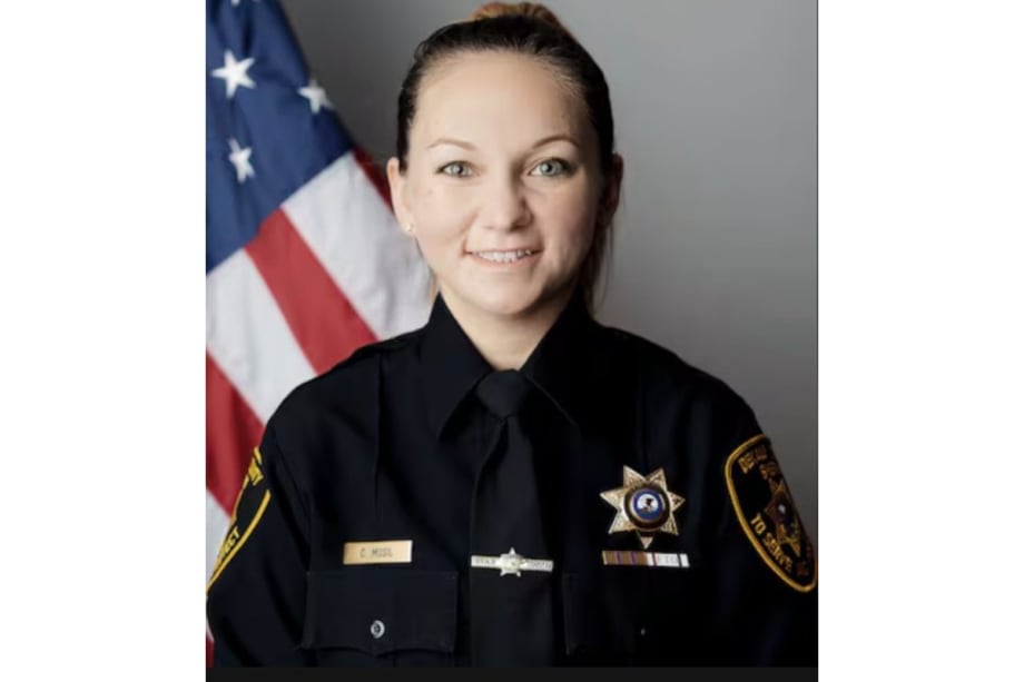 Illinois Deputy Killed When Truck Hit Her Patrol Vehicle