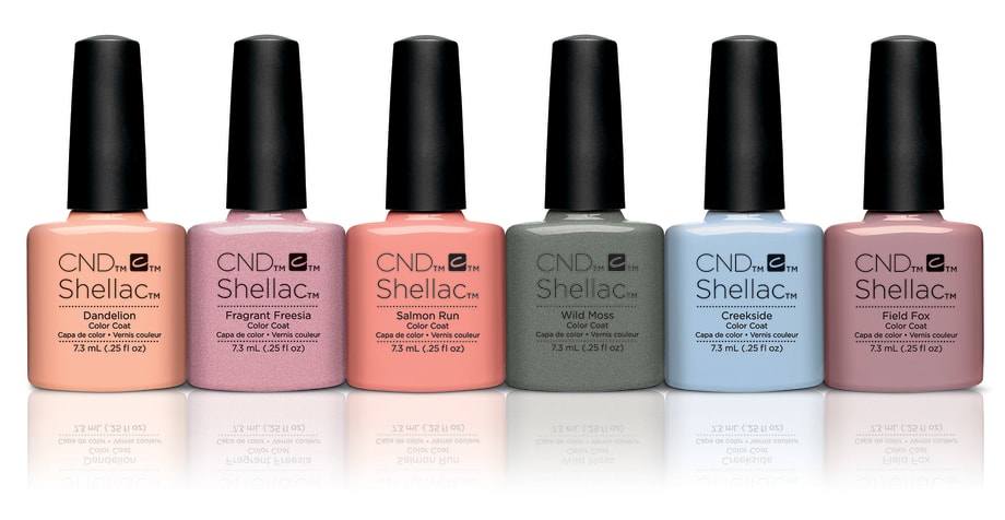 Shellac Flora & Fauna
