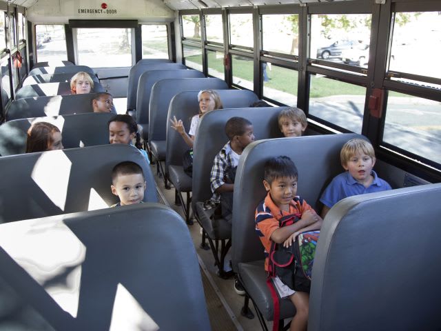 Louisiana Task Force Advises Against Seat Belt Mandate