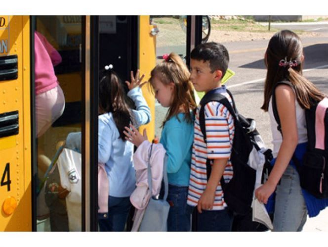 New guide targets bus stop safety