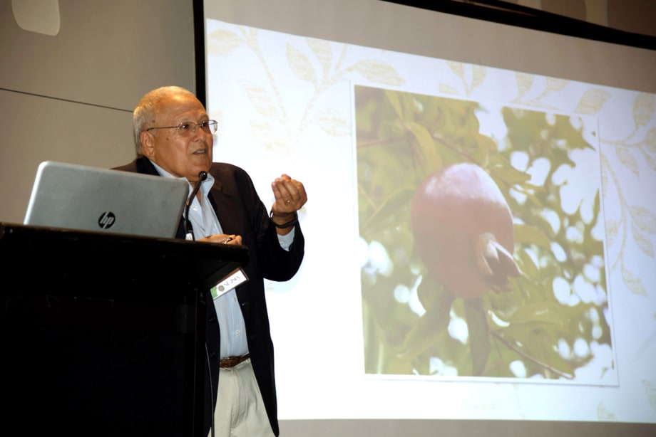 Neuma California Experience Builds Skills, Develops Team