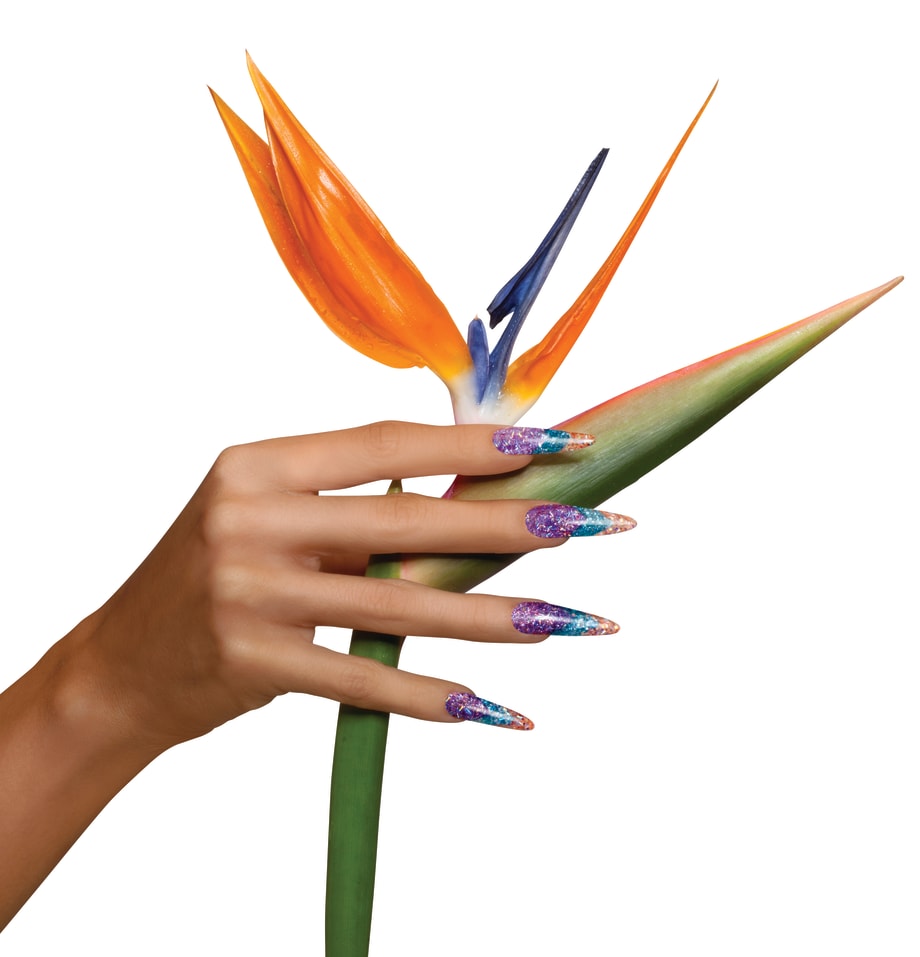Tropical Tips in EzFlow Boogie Nights Paradise Cove