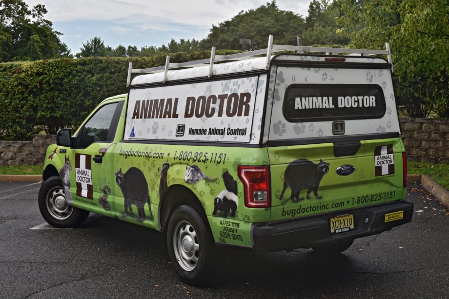From Graphics to Vehicle Wrap: Inside the Upgrade