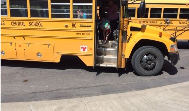 Animal Decals Can Be Displayed on New York School Buses