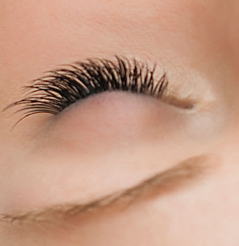 Luscious Lashes