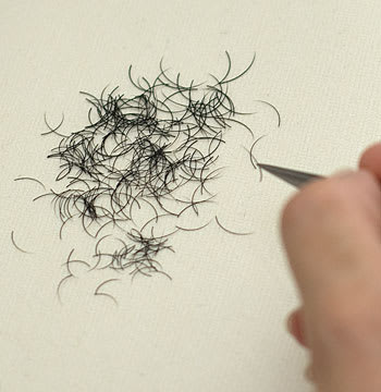 Luscious Lashes