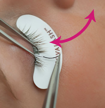 Luscious Lashes