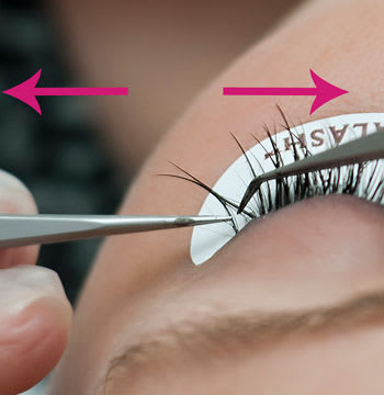 Luscious Lashes