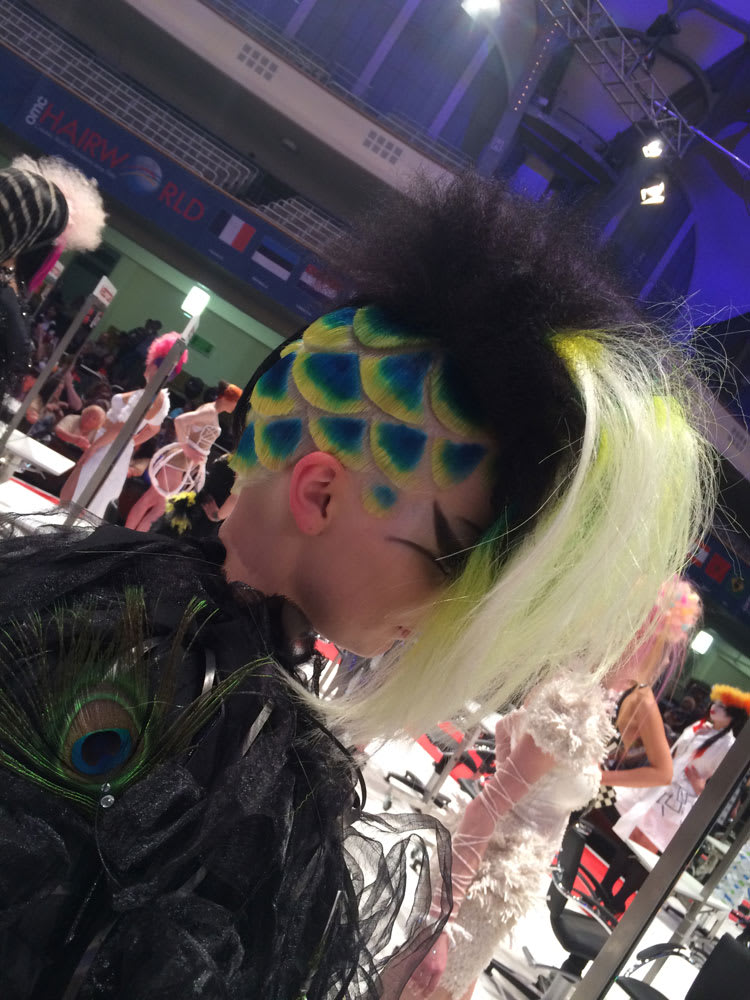 Image Gallery: 2014 Hairworld OMC World Cup in Frankfurt, Germany