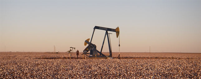 Hiring a driver without a CDL is not the answer to the driver shortage