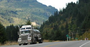 Proud and Alone, Cold as a Stone