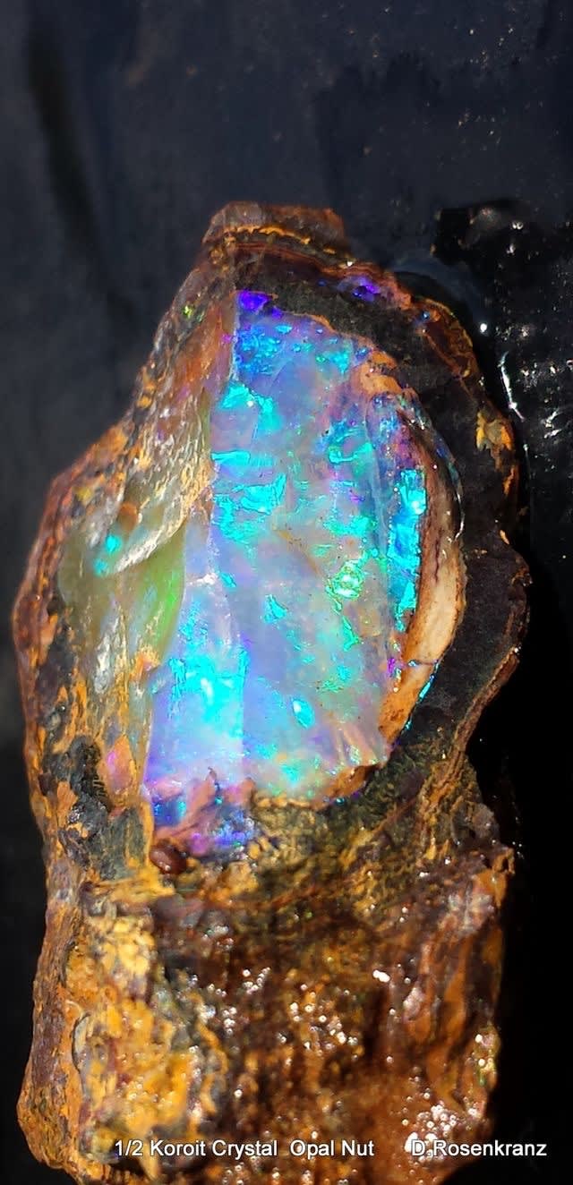 HOW-TO: Iridescent "Organized Chaos" Opal Haircolor