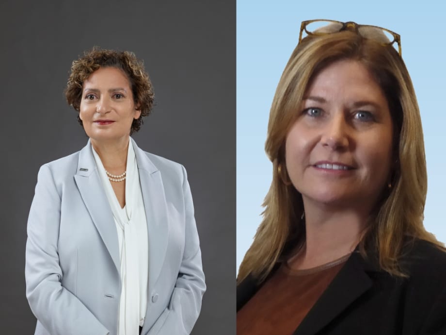 Consultant Roundtable Part 2: D'Orazio, Hakim, and Purkis on future transit