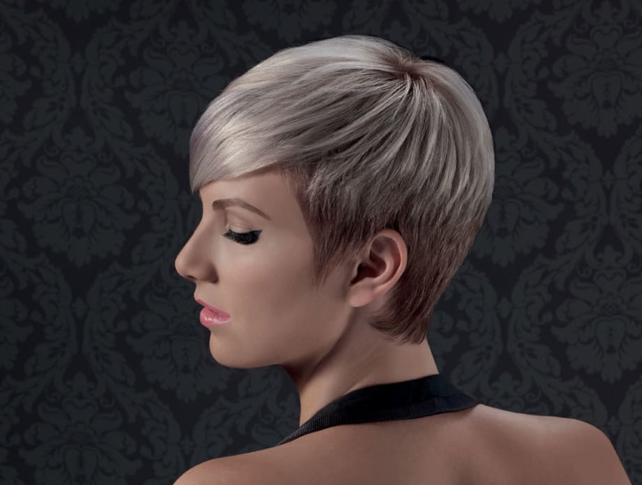 Meta Workshop Collection from Pivot Point