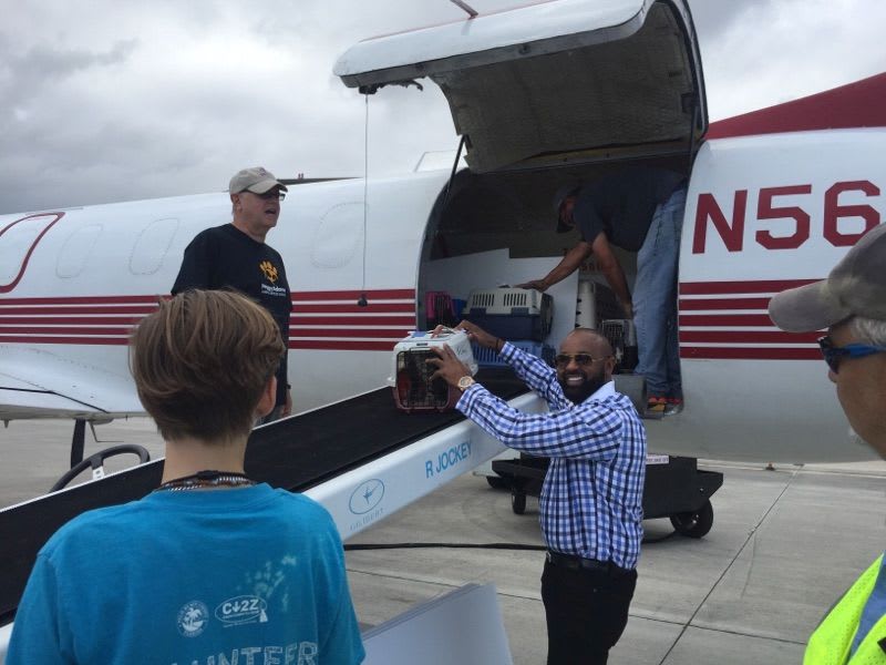 Palm Tran Helps Transport Pets after Hurricane Irma