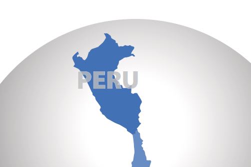 Market Snapshot: Peru Automotive and Fleet Market