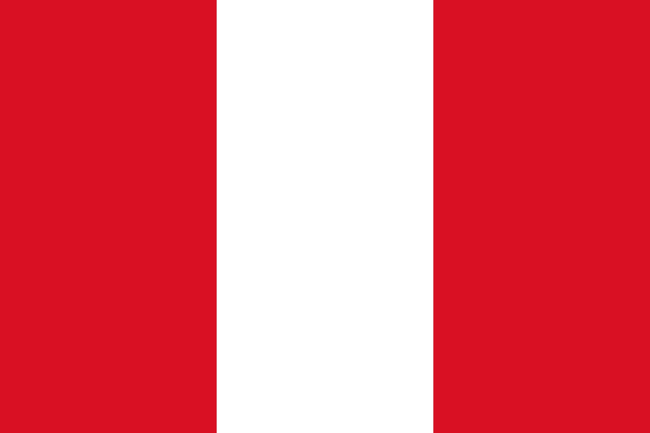 Overview: Peruvian Fleet Market