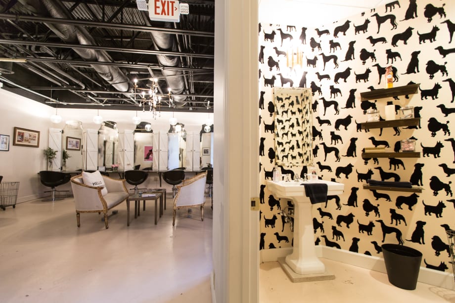 Salon Tour: The Dry House