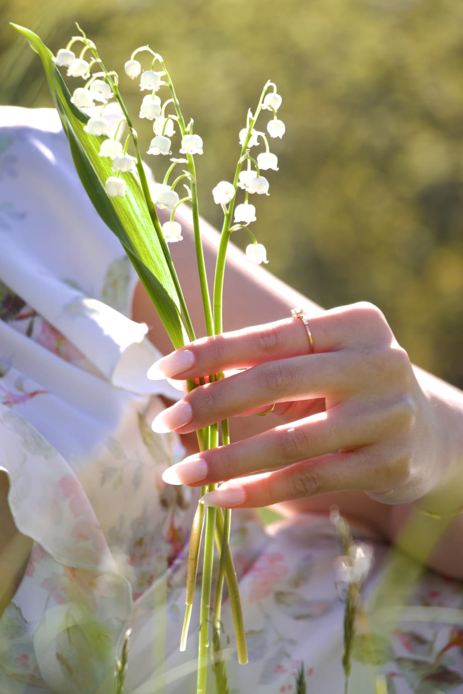 A hand holding a bunch of Lily of the Valley flowers